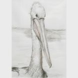 Alison Elliott, contemporary, Marcel, study of a pelican, signed and dated '97, pen,