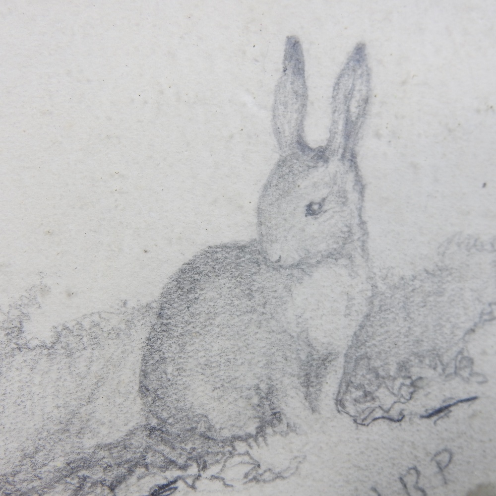 Attributed to Helen Beatrix Potter *ARR, (1866-1943), study of rabbits, pencil on paper, - Image 2 of 7