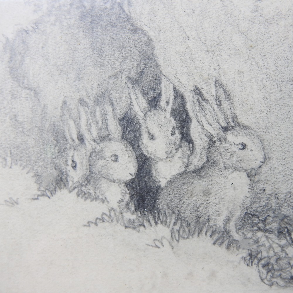 Attributed to Helen Beatrix Potter *ARR, (1866-1943), study of rabbits, pencil on paper, - Image 7 of 7