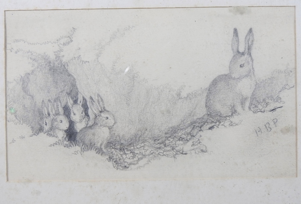 Attributed to Helen Beatrix Potter *ARR, (1866-1943), study of rabbits, pencil on paper, - Image 5 of 7