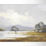 Denis J McDowell *ARR, (1926-1990), river landscape, signed oil on canvas, 30 x 36cm,