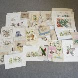 A folio of botanical prints