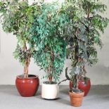 A collection of five artificial trees in pots,