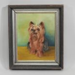 Peta Maude, 20 century, 'A Yorkshire Terrier Called Yorkie', signed and dated '74,