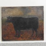 English School, 19th century, a black bull, oil on canvas, 42 x 52cm,