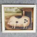 J Box, 20th century, a prize pig, signed, oil on canvas laid on board,