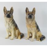 A pair of Beswick models of Alsatians, 35cm high,