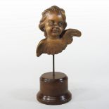 A carved walnut winged cherub, on a wooden mount,