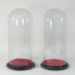 A pair of 19th century glass domes, each on a wooden base,