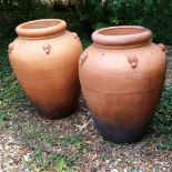 A pair of terracotta olive pots,