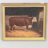 J Box, 20th century, study of a bull, oil on canvas laid on board,