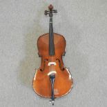 A modern cello,