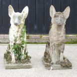 A pair of mid 20th century weathered life size reconstituted stone garden models of German shepherd