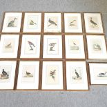 A collection of fifteen framed antique bird prints,