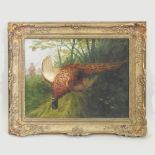 English school, 19th century, shooting scene with pheasant game bird, oil on canvas,