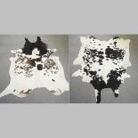 A cow hide, together with another,