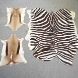 A zebra hide, 183 x 155cm,