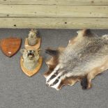 A taxidermy hare, mounted on a shield shaped panel, inscribed Helmingham Hall 1953, 31cm high,