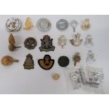 Selection of Various Cap Badges including plastic economy Hampshire (blades absent) ... Bullion