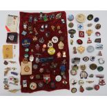 Quantity of Various Lapel Badges