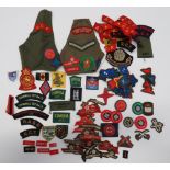 Selection of ACF Titles and Proficiency Badges