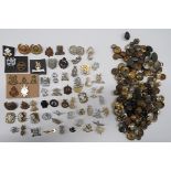 Selection of Collar Badges and Buttons