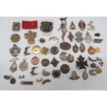 Selection of Various Badges and Medallions