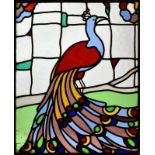 A late 19th / early 20th century stained glass panel, depicting a peacock perched upon a low branch,