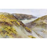 Ethel Sophia Cheeswright (British, 1874-1977), Gorse in flower cliffs above Grande Greve, Sark