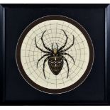 Arachnology - A large circular didactic chromolithograph illustration of a spider on it's web,