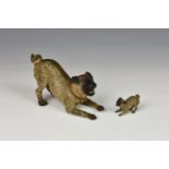 An Austrian cold painted bronze model of a crouching Pug dog - Possibly Franz Bergmann, the