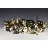 A collection of Winstanley cat figurines, in different breeds, sizes and poses, each having glass