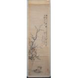 An antique Chinese watercolour scroll painting, probably 19th century, depicting a prunus tree in