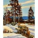 Harris, Frances (British-Canadian, 1913-2017), Cold December, Paradise Flats (Summerland '78) oil on