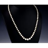 A single strand cultured pearl necklace, with silver clasp, 18½in. (47cm.) long.