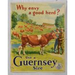 An original American Guernsey Cattle Club advertising poster - Channel Islands interest, " Why