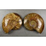 NATURAL HISTORY - A pair of polished ammonite fossils, Madagascan, honey coloured, approximately 8½