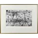 Barry Owen Jones, RWS, RE (British, 1934-2018), etching, " Vine in an Old Guernsey Greenhouse "