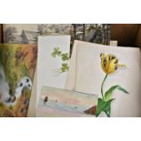 A rummage box of ephemera - sketch books - paintings etc to include autograph book; Jersey