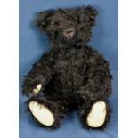 A Steiff Othello Titanic replica teddy bear in black mohair with Steiff tag to ear and growler.