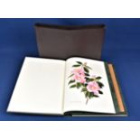 Urquhart, Beryl Leslie - The Camellia cased, 2 vols, coloured plates.