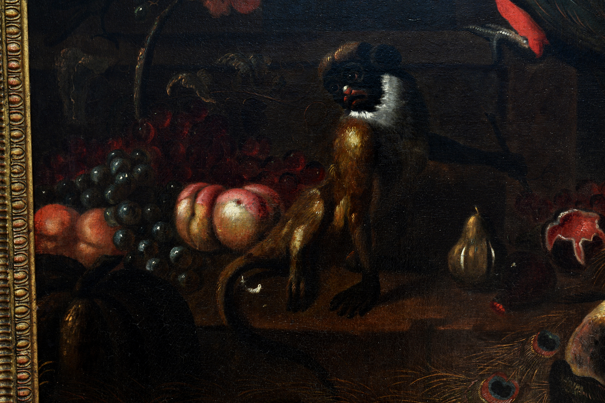 Follower of Melchior de Hondecoeter (Dutch, 1636-1695), A peacock, a monkey and other birds on a - Image 10 of 13