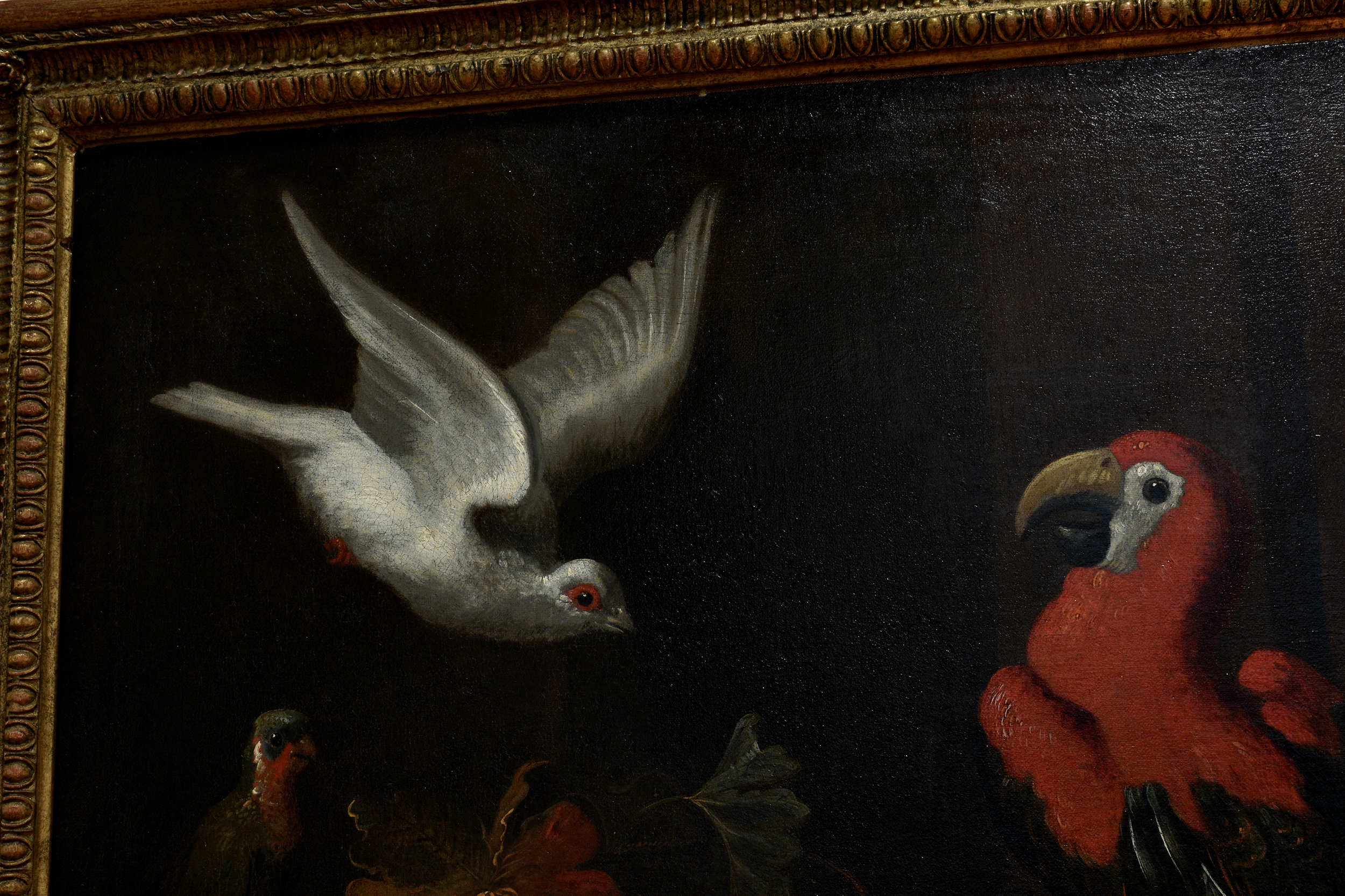 Follower of Melchior de Hondecoeter (Dutch, 1636-1695), A peacock, a monkey and other birds on a - Image 6 of 13