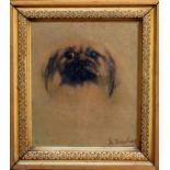 A. Bryson (20th century), Pekingese dog . oil on canvas, signed lower right, modern decorative frame
