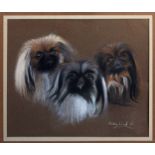 Ashley West (20th century), Three Pekingese Dogs . chalk on toned paper, signed and dated 1981 lower