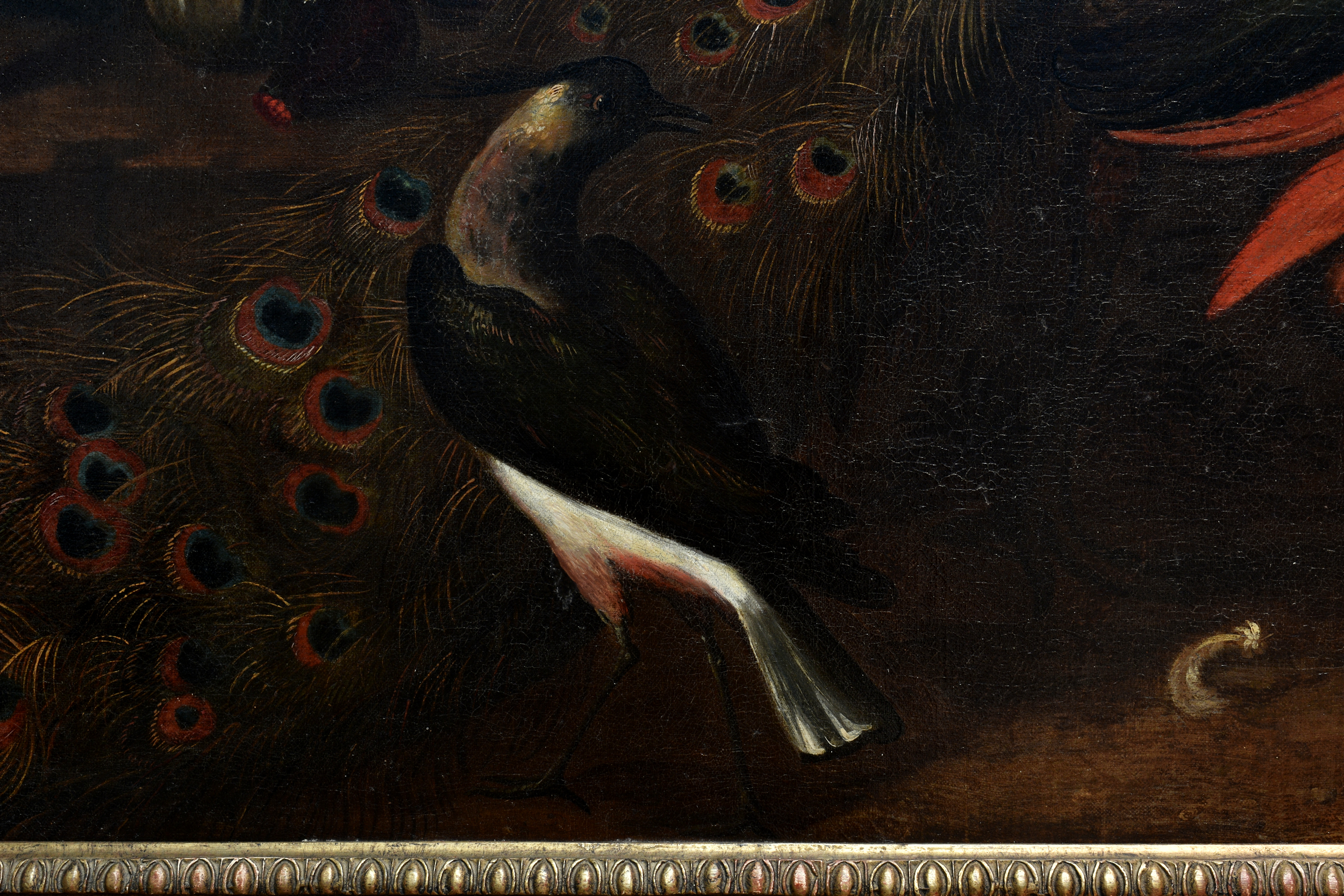 Follower of Melchior de Hondecoeter (Dutch, 1636-1695), A peacock, a monkey and other birds on a - Image 11 of 13