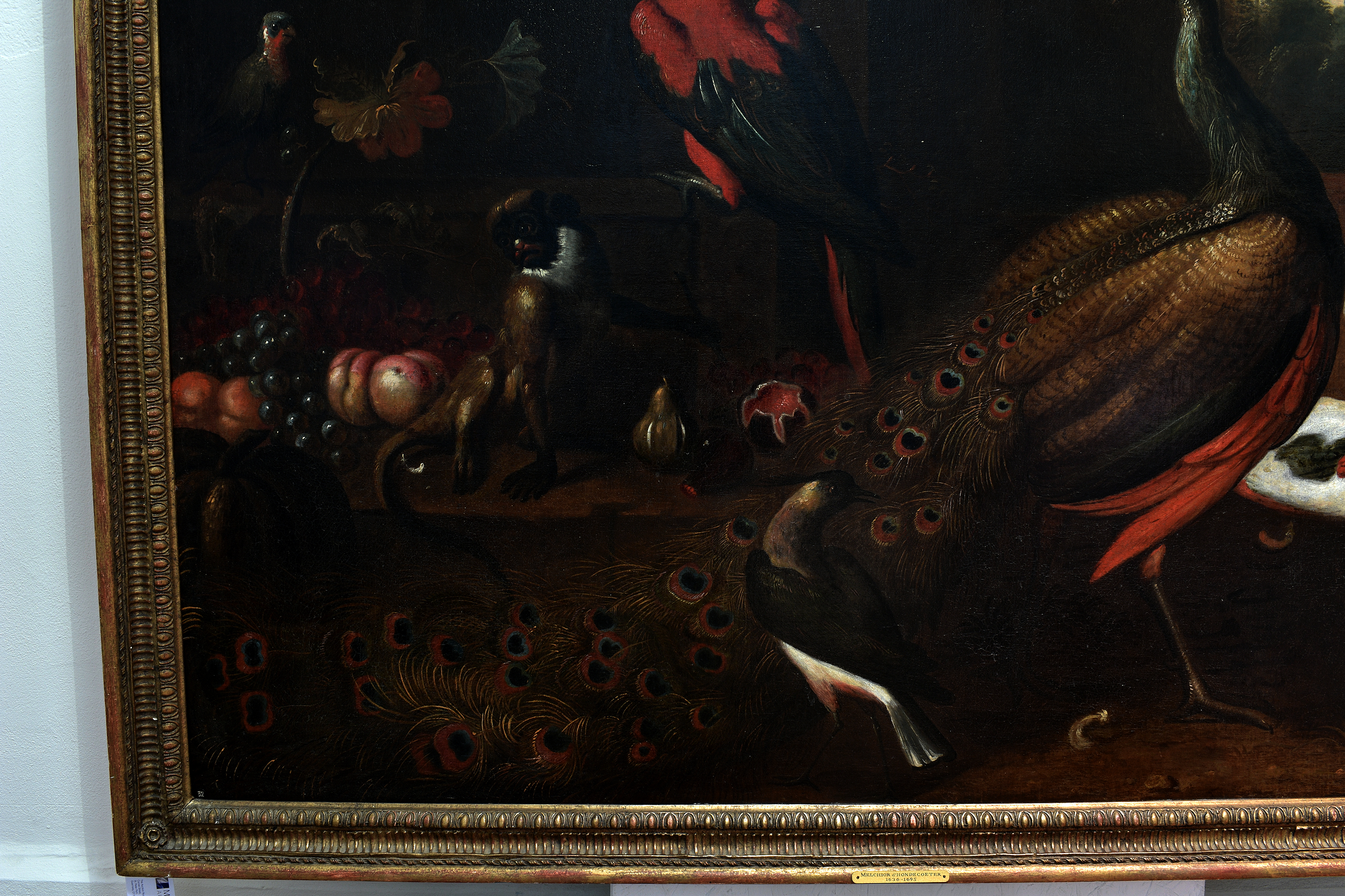 Follower of Melchior de Hondecoeter (Dutch, 1636-1695), A peacock, a monkey and other birds on a - Image 3 of 13