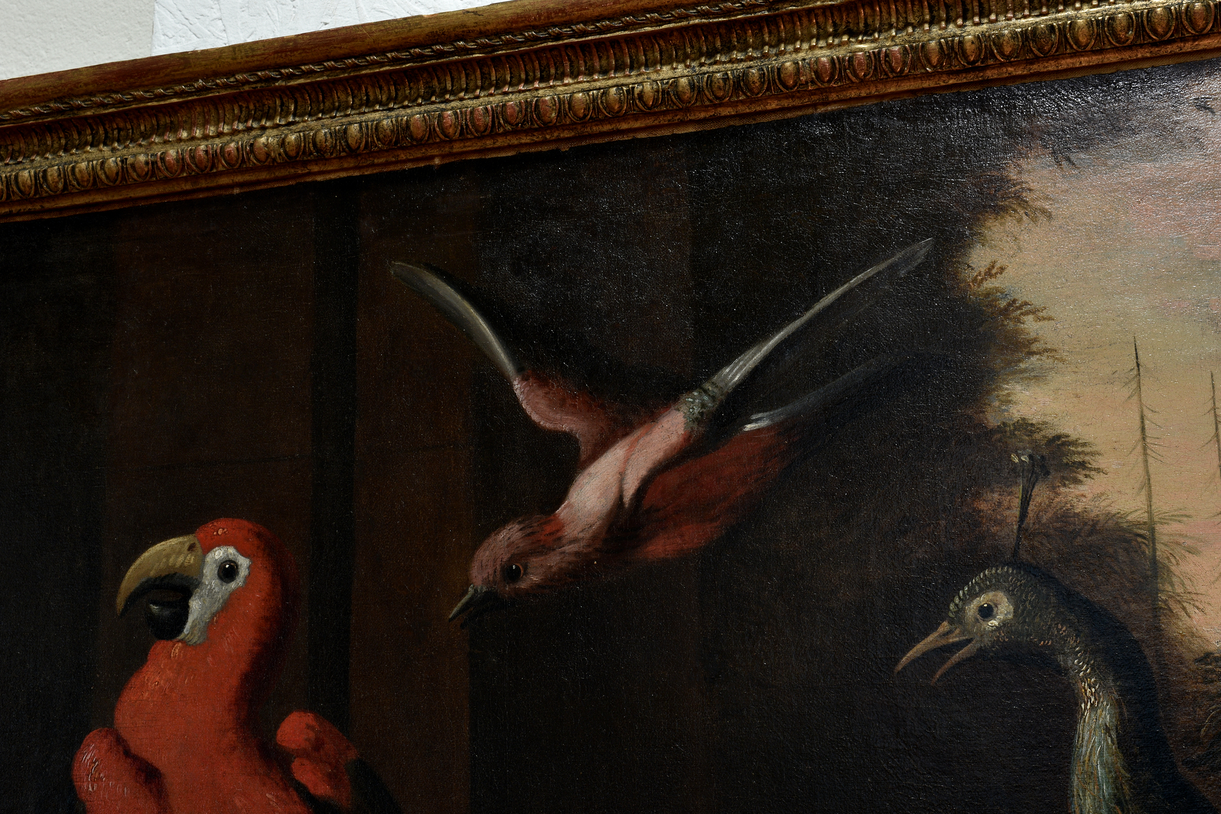 Follower of Melchior de Hondecoeter (Dutch, 1636-1695), A peacock, a monkey and other birds on a - Image 7 of 13