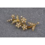 A vintage yellow gold and seed pearl floral spray brooch, in the shape of a flower vine and with a