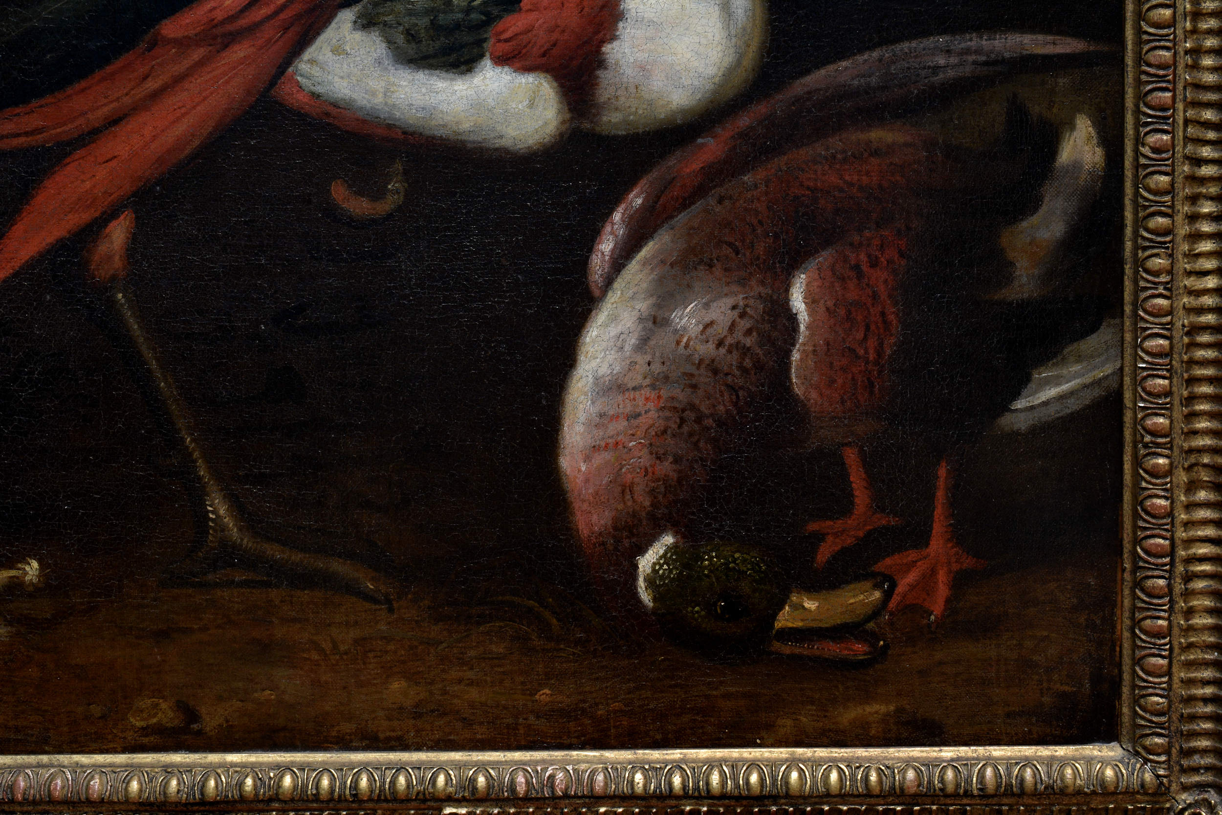 Follower of Melchior de Hondecoeter (Dutch, 1636-1695), A peacock, a monkey and other birds on a - Image 12 of 13